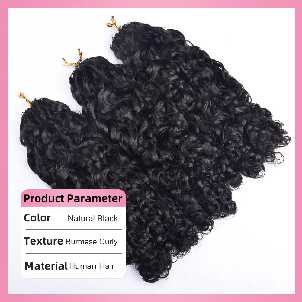Burmese Curly Crochet Human Hair
