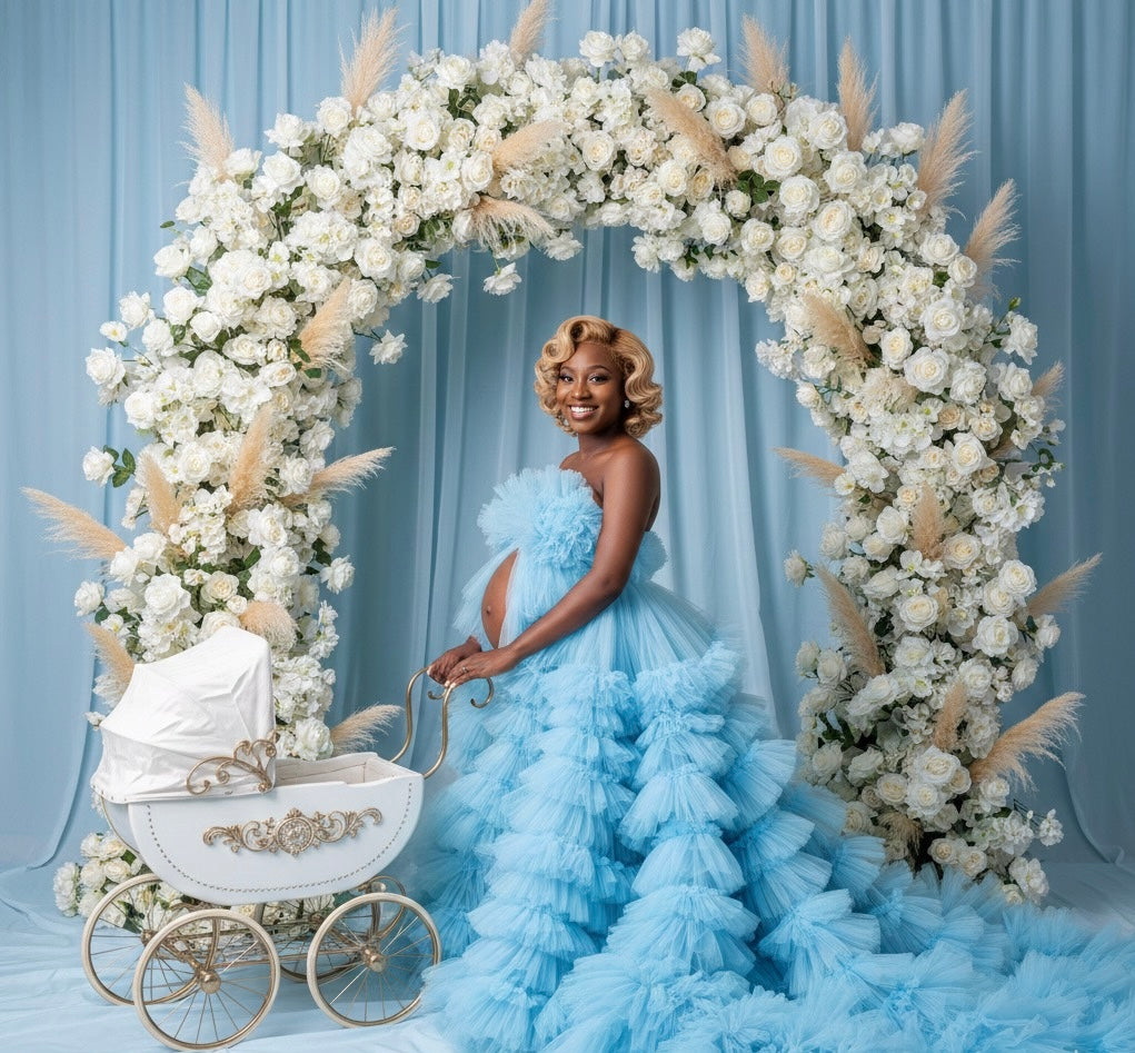 THE GEMINI PLAYBOOK E-BOOK